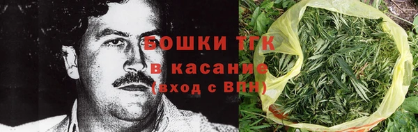 ПСИЛОЦИБИНОВЫЕ ГРИБЫ Губаха