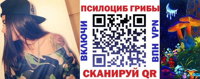 Псилоцибиновые грибы Psilocybine cubensis  купить  цена  Николаевск 